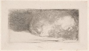 Schlafender Welpe von Rembrandt van Rijn