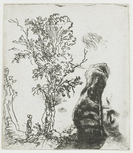 Studienblatt mit einem Baum und dem oberen Teil von Rembrandts Kopf mit Barett von Rembrandt van Rijn