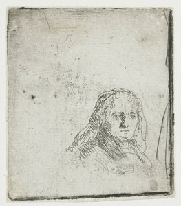 Studie des Kopfes einer Frau von Rembrandt van Rijn