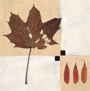 Herbstblätter Stillleben