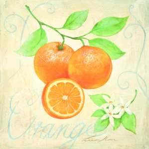 Frische Orangen und Blüten von Renate Holzner