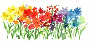 Regenbogengartenblumen