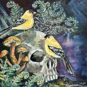 Dunkle Natur Stieglitze