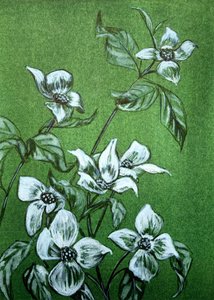 Grüne botanische Blüten
