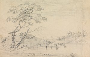 Landschaft