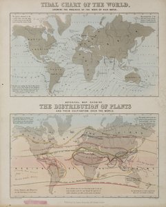 Eine Gezeitenkarte und eine Karte der Verteilung von Pflanzen weltweit, ca. 1850 von John Pardon