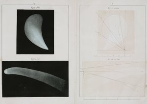 Halleyscher Komet, Oktober 1835 von John Pardon