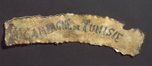 Menschliche Haut mit tätowierter Inschrift, Französisch