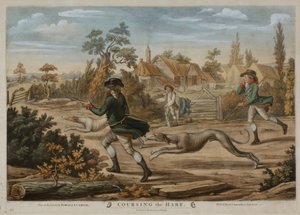 Hasenjagd, gedruckt für Bowles & Carver, veröffentlicht 1796 von Richard (after) Dighton