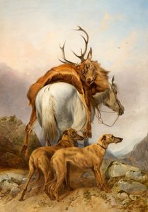 Ein Pony, das ein totes Reh trägt