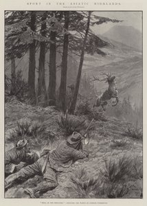 Sport in den asiatischen Hochländern von Richard Caton Woodville junior