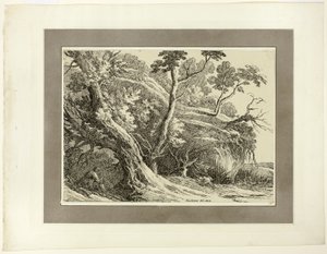 Landschaft mit großen Bäumen, aus der ersten Ausgabe von Specimens of Polyautography von Richard Cooper II