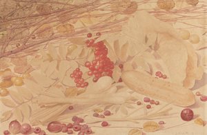 Stillleben mit Stachelbeeren, Himbeeren, roten Johannisbeeren, Frühlingszwiebeln, einer Essiggurke und Laub von Richard Dadd