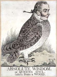 Absolute Weisheit oder Königinnen-Eule aus einem Wald