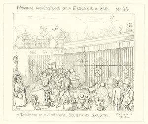 1849, Ein Ausblick auf die Gärten der Zoologischen Gesellschaft von Richard Doyle