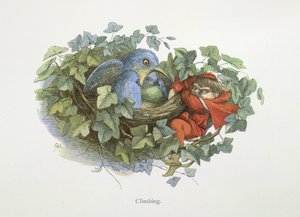 Klettern
