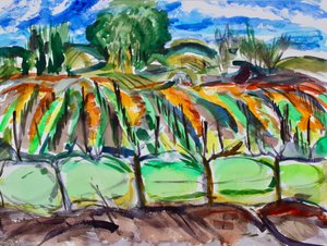 Herbstweinberge, Napa, 2017 von Richard Fox