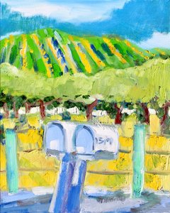Briefkästen und Weinberg, Napa