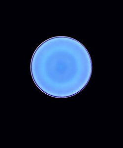 Kreis X, 2005