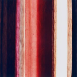 Streifen XI, 2005 von Richard Green