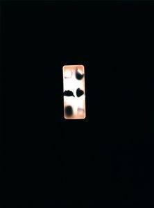 Ohne Titel, 2004 von Richard Green