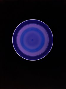 Ohne Titel, 2004 von Richard Green