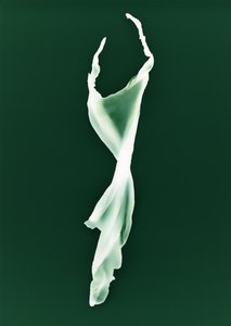 Ohne Titel von Richard Green