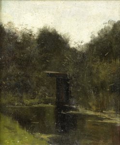 Ecke eines Teiches bei Breukelen