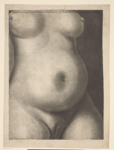 Torso einer schwangeren Frau von Richard Purcell