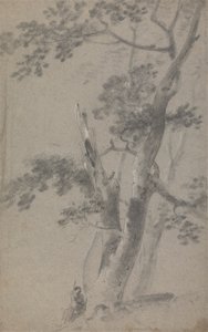 Hirte sitzt unter einem Baum