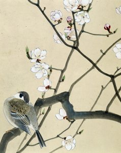 Vogel - Japanische Zeichnung von Riou Chim von Riu Chim