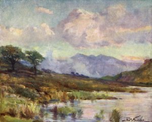 Snowdon vom Capel Curig See, Sommerabend von Robert (after) Fowler