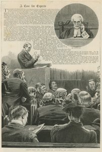 Ein Fall für Experten: Skizzen in den Royal Courts of Justice; mit einer Vignette von Mr. Justice Kay von Robert Barnes