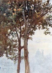 Ein nebliger Effekt der Türme von Florenz von Robert Charles Goff
