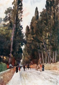 Blick die Zypressenallee von Poggio Imperiale hinunter, auf dem Weg nach Arcetri von Robert Charles Goff