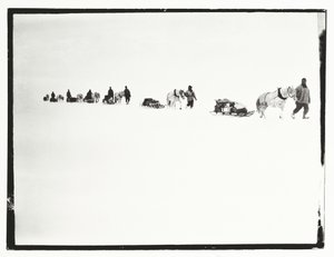 Ponys auf dem Marsch, Große Eisbarriere, 2. Dezember von Robert Falcon Scott