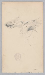 Tigermuster-Teppich