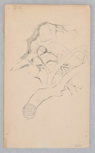 Baumzweig von Robert Frederick Blum