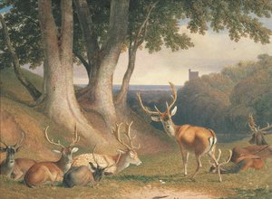 Landschaft mit Hirschen, um 1800 von Robert Hills