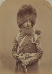 Farbsergeant Macgregor, Scotch Fusiliers Guards