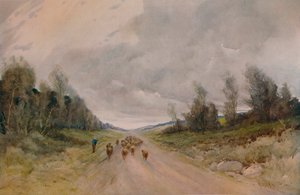 Auf einer Straße in Northumberland