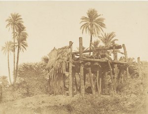 Nubische Sakkieh oder Wasserrad, ca. 1856 von Robert Murray.