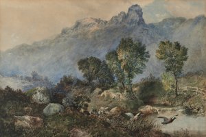 Landschaft mit Stockenten von Robert Scott Temple