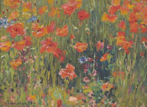 Mohnblumen