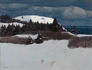 Küste von Maine