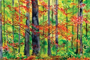 Herbstwaldglühen von RodMacIver