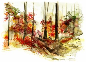 Herbstwald Surf-Reise von RodMacIver