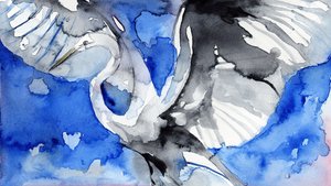 Blauer Reiher im Flug von RodMacIver