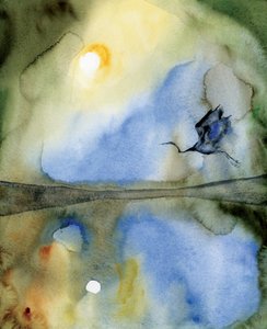 Ätherische Vogelreflexion von RodMacIver