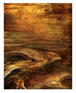 Goldener Falkenflug von RodMacIver